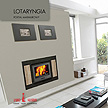 lotaryngia